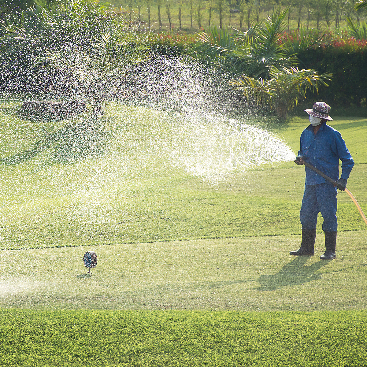 Watering